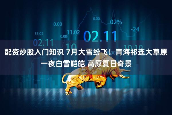 配资炒股入门知识 7月大雪纷飞！青海祁连大草原一夜白雪皑皑 高原夏日奇景