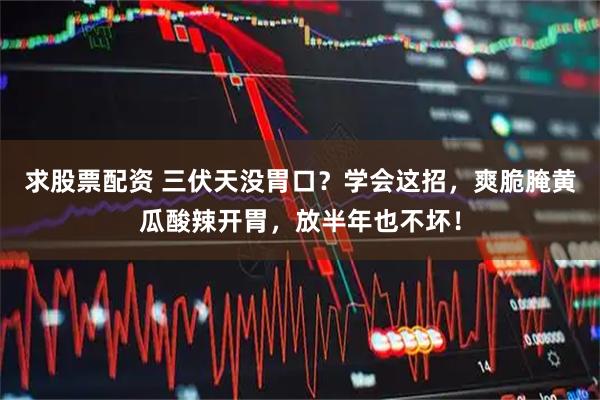 求股票配资 三伏天没胃口？学会这招，爽脆腌黄瓜酸辣开胃，放半年也不坏！